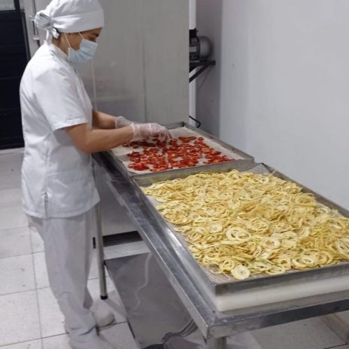 Verduras Deshidratadas