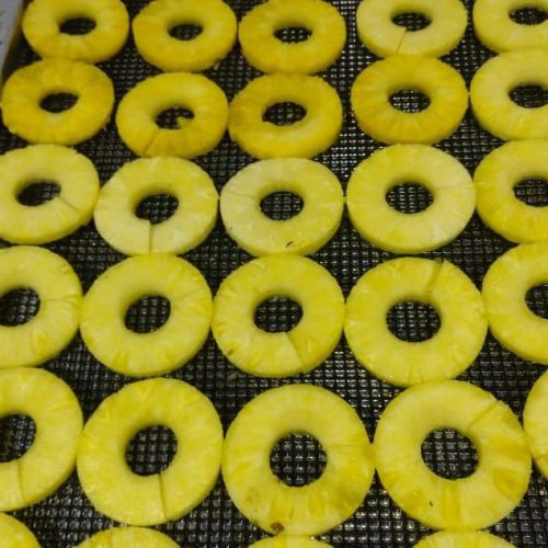 PHOTO-2025-01-09-15-11-27 5