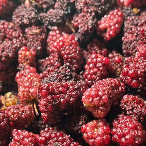 WhatsApp Image 2025-08-19 at 20.31.02