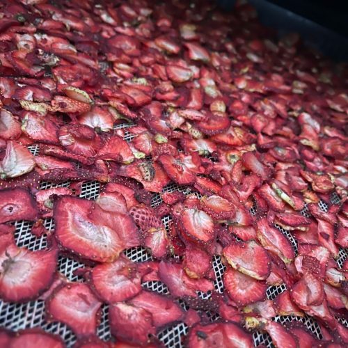 WhatsApp Image 2025-08-19 at 20.31.04 (5)