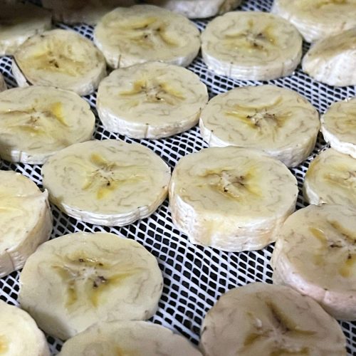 WhatsApp Image 2025-08-22 at 16.01.02