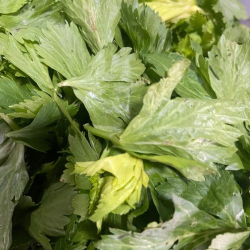 WhatsApp Image 2025-08-22 at 16.01.06 (1)