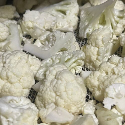 WhatsApp Image 2025-08-22 at 16.01.06